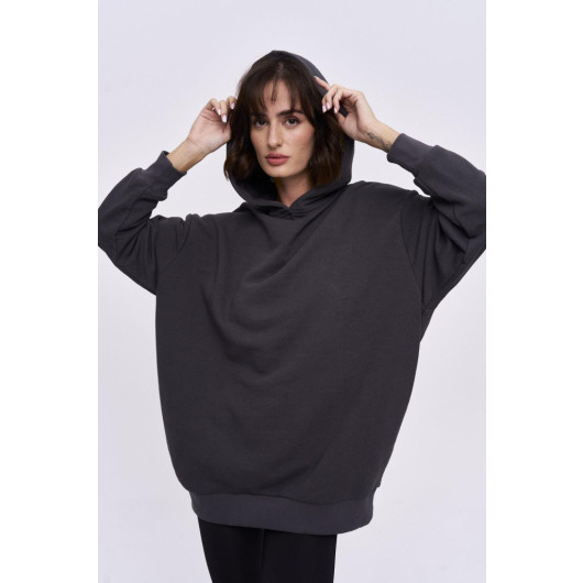 Basic Kapüşonlu Füme Kadın Sweatshirt