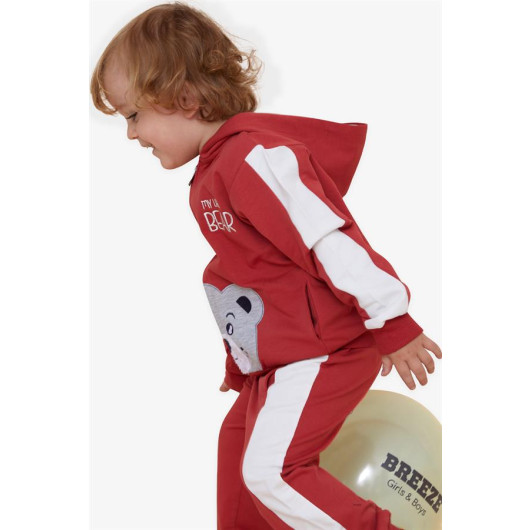 Boys Tracksuit Set Teddy Bear Printed Tile (1-3 Years)