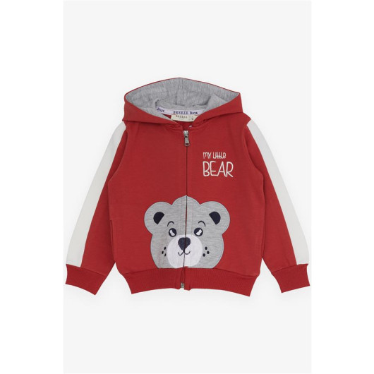 Boys Tracksuit Set Teddy Bear Printed Tile (1-3 Years)