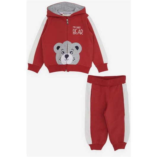 Boys Tracksuit Set Teddy Bear Printed Tile (1-3 Years)