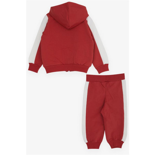 Boys Tracksuit Set Teddy Bear Printed Tile (1-3 Years)