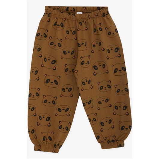 Baby Boy Pajamas Set Panda Pattern Light Brown (9 Months-3 Years)