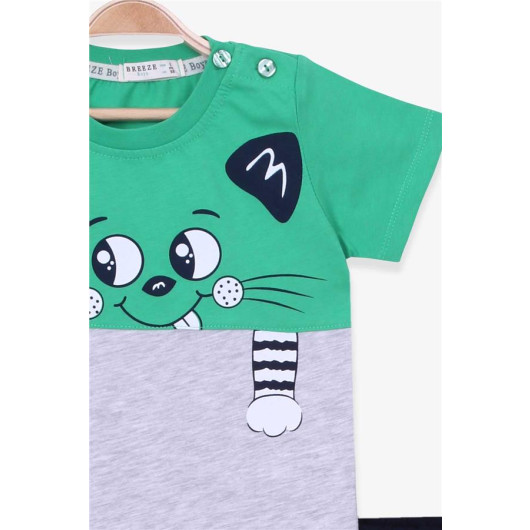 Boys Shorts Set Kitten Printed Green (1-4 Years)