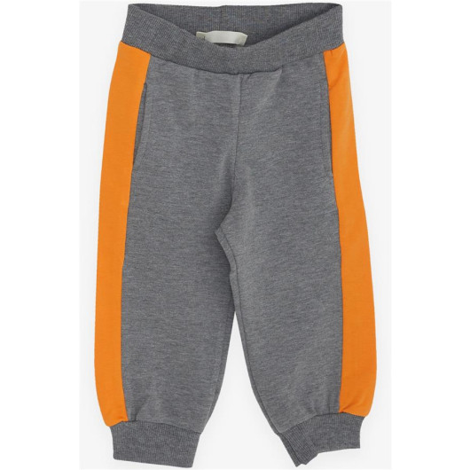 Boys Tracksuit Set Teddy Bear Printed Gray Melange (1-4 Ages)