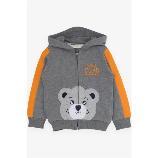 Boys Tracksuit Set Teddy Bear Printed Gray Melange (1-4 Ages)