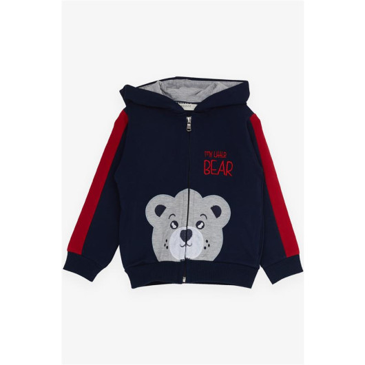 Boy's Tracksuit Suit Bear Printed Navy (1-4 Years)