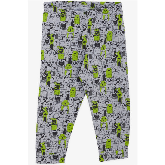 Boys Pajamas Set Doggy Pattern Gray Melange (3-7 Years)