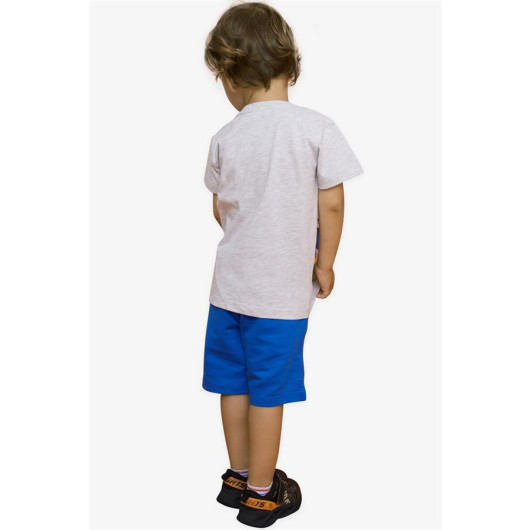 Light Gray Printed T-Shirt And Shorts Set For Boys (1-4 Years)