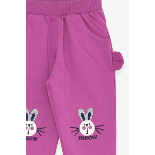 Baby Girl Sweatpants Purple With Bunny Embroidery (1-2 Years)