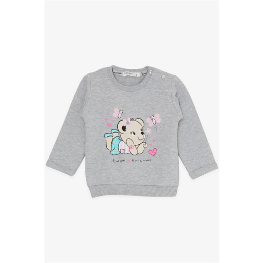 Baby Girl Tracksuit Set Cute Animal Friends Light Gray Melange (4 Months-1.5 Years)