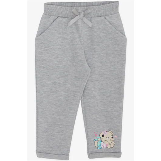 Baby Girl Tracksuit Set Cute Animal Friends Light Gray Melange (4 Months-1.5 Years)