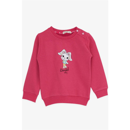 Baby Girl Tracksuit Set, Cute Bunny Printed Fuchsia (9 Months-3 Years)