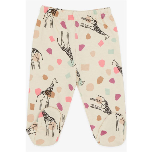 Baby Girl Hospital Exit Triple Giraffe Patterned Beige (0-3 Months-4 Months)