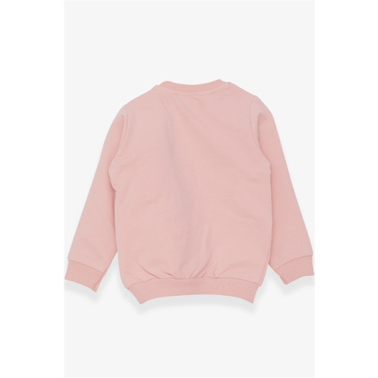 Girl's Sweatshirt With Teddy Bear Accessories Powder (1.5-5 Years)