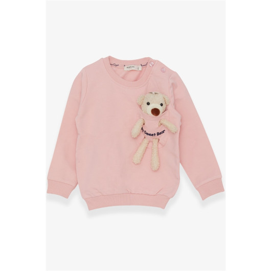 Girl's Sweatshirt With Teddy Bear Accessories Powder (1.5-5 Years)