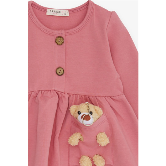 Girl's Long Sleeve Dress With Teddy Bear Accessories, Dry Rose (2-6 Years)