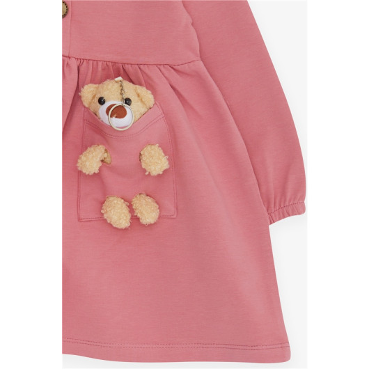 Girl's Long Sleeve Dress With Teddy Bear Accessories, Dry Rose (2-6 Years)