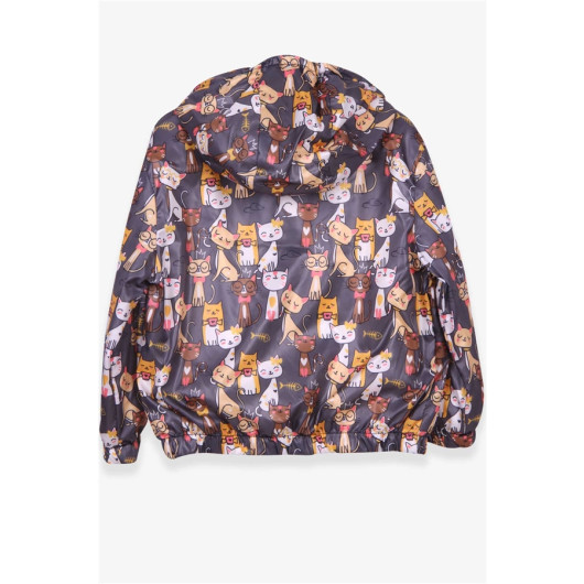 Girl Raincoat Kitty Patterned Smoked (1-4 Years)