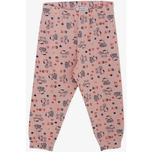 Girl's Pajamas Set Fancy Kitty Patterned Salmon (3-7 Years)