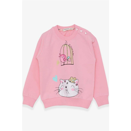 Girl's Sweatshirt Glittery Kitten Printed Powder (1.5-5 Years)