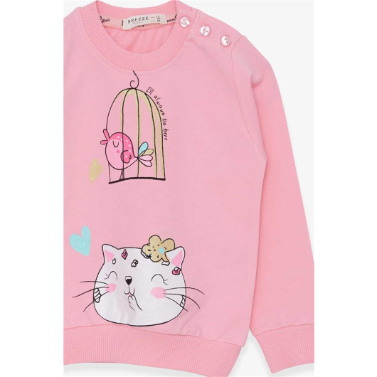 Girl's Sweatshirt Glittery Kitten Printed Powder (1.5-5 Years)