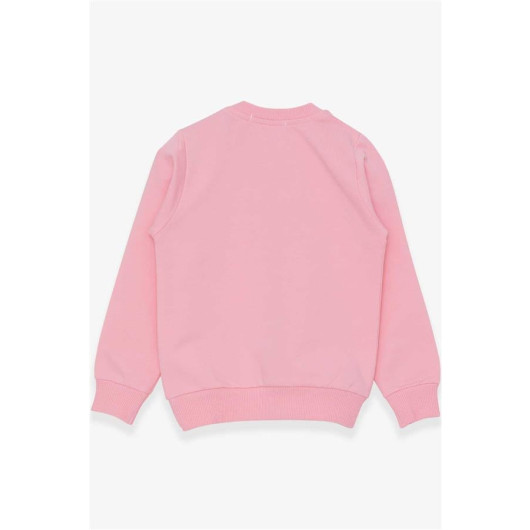 Girl's Sweatshirt Glittery Kitten Printed Powder (1.5-5 Years)