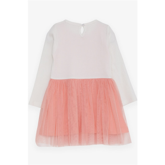 Girl Long Sleeve Dress Tulle Ecru (3-8 Ages)