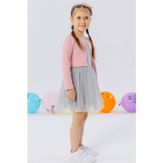 Girl Long Sleeve Dress Tulle Pink (3-6 Years)