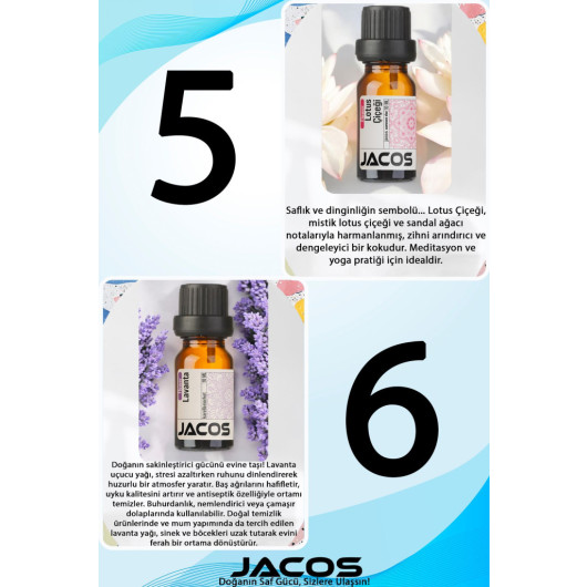 6 Piece Economy Set Essential Oil Essence Room Fragrance