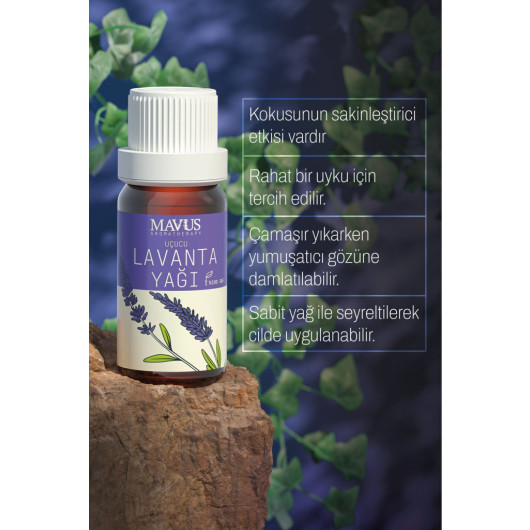 Lavender Essential Oil 10 Ml Pure And Natural