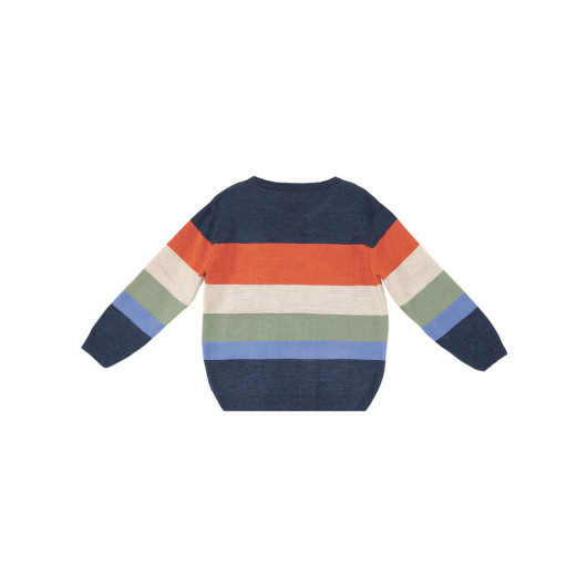 Animals Boys Sweater