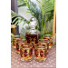 H Pattern Gold Set Of 6 Whiskey Glasses