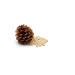 Pine Nuts Stuffed 1 Kg