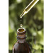 Bitter Almond Oil Cold Pressed 20Ml