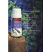 Lavender Essential Oil 10 Ml Pure And Natural