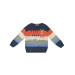 Animals Boys Sweater