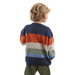 Animals Boys Sweater