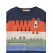 Animals Boys Sweater