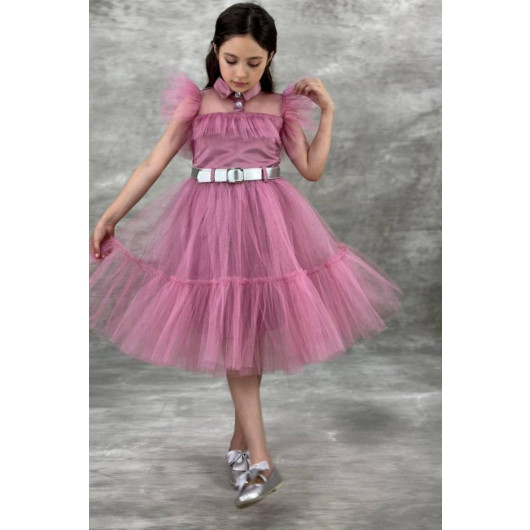 Girls Dress With Collar, Bodice And Pink Tulle Sleeves