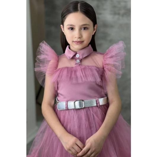 Girls Dress With Collar, Bodice And Pink Tulle Sleeves