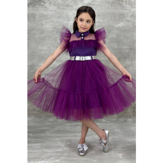 Girls Dress With Collar, Bodice And Purple Tulle Sleeves