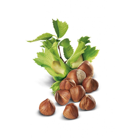 Raw Hazelnut 3 X 200 Grams