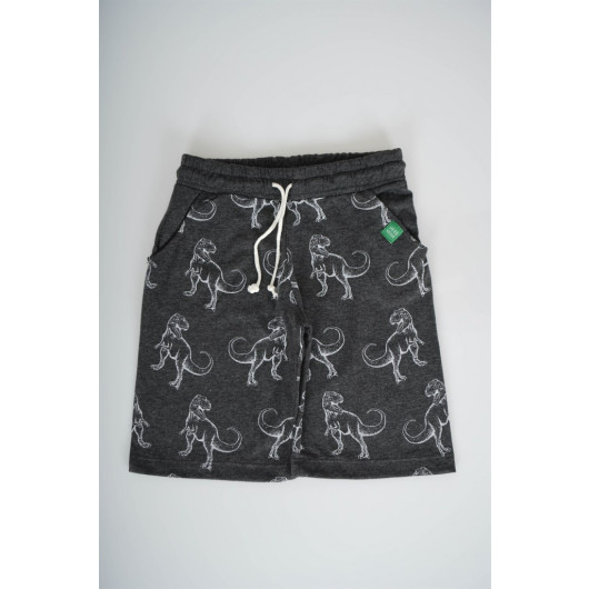 Kids With Dinosaur Print Cotton Shorts Suit