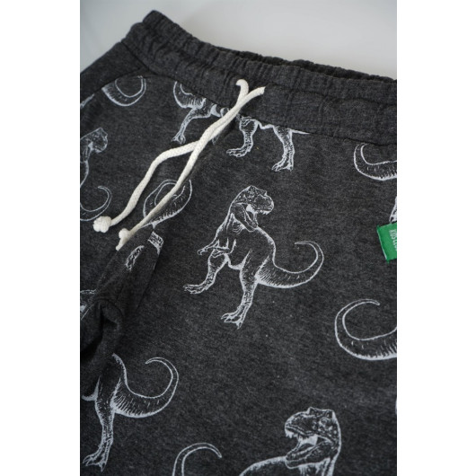 Kids With Dinosaur Print Cotton Shorts Suit