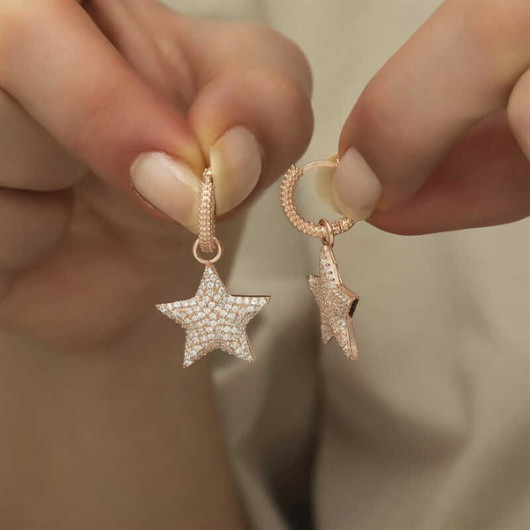 Gms Ring Star Women's Silver Earrings