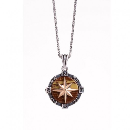 Compass Detailed Aesthetic Wavy Tiger Eye Ground Silver Direction Necklace