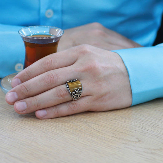 Stone Embroidered Tiger Eye Stone Silver Men Ring