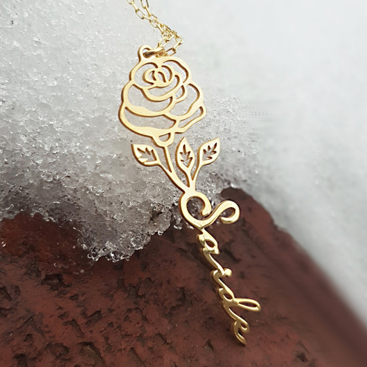 Vaoov 925 Sterling Silver Named Women's Gift Necklace