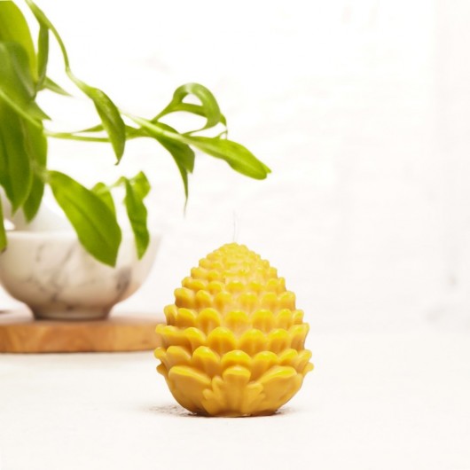 Mitr . Pine Cone Beeswax Candle