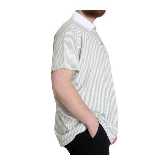 Large Size Men's T-Shirt Polo Neck Striped Green